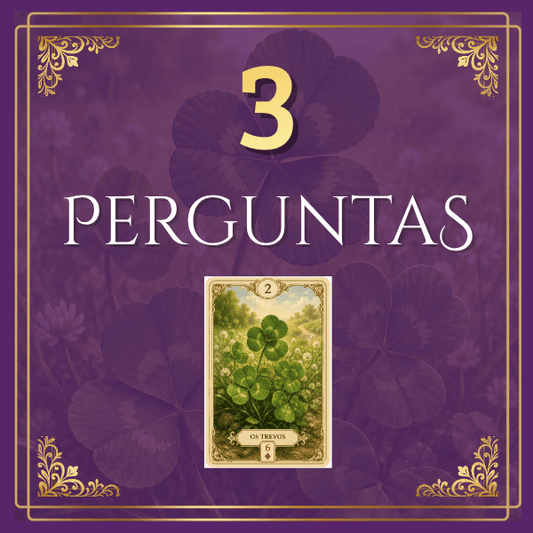 3 Perguntas